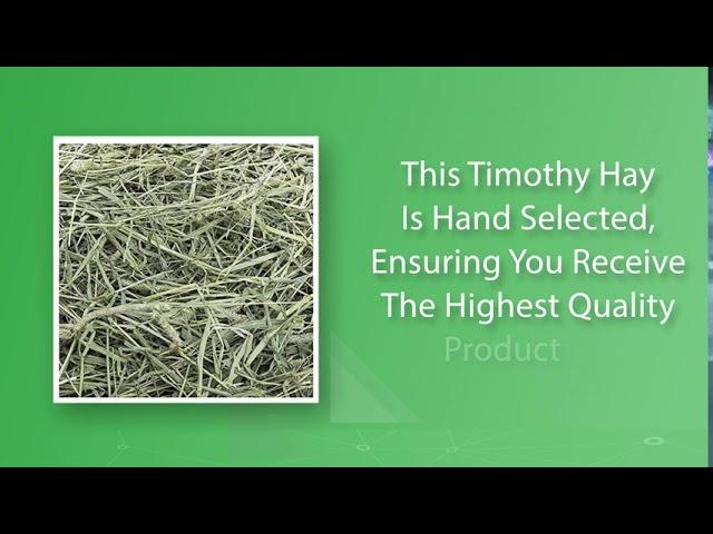 Small Pet Select 1st Cut Timothy Hay