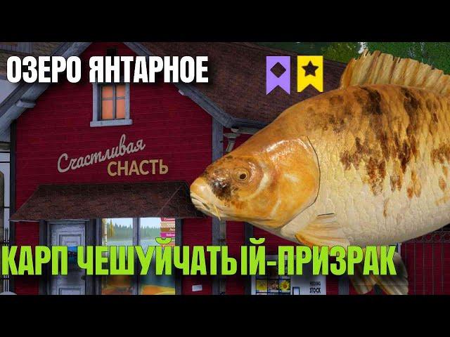 🟢КАРПФИШИНГ- ОЗЕРО ЯНТАРНОЕ + МОРЕ🟢|  Русская Рыбалка 4