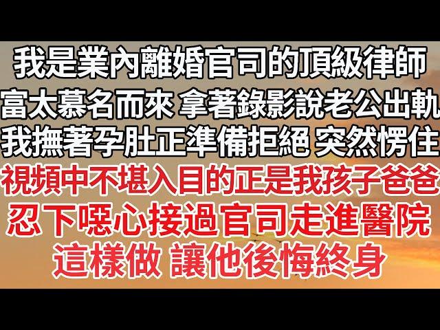 【完結】我是業內離婚官司的頂級律師，富太慕名而來 拿著錄影說老公出軌，我撫著孕肚正準備拒絕 突然愣住，視頻中不堪入目的正是我孩子爸爸，忍下噁心接過官司走進醫院，這樣做 讓他後悔終身【爽文】【豪門】