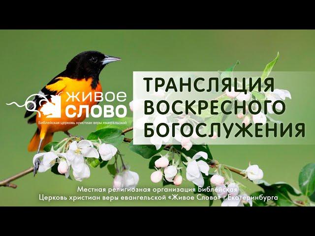 12 мая 2024 в 11:00 (ЕКБ) / Воскресное #богослужение / Церковь «Живое Слово»