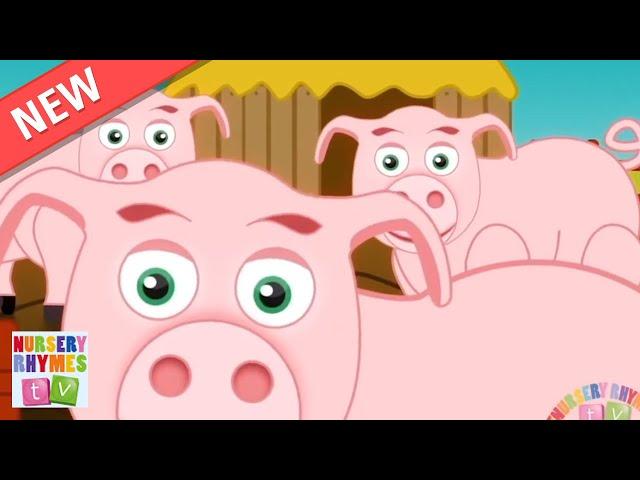 BEST NURSERY RHYMES & KIDS SONGS | Compilation | Nursery Rhymes TV | English Songs For Kids