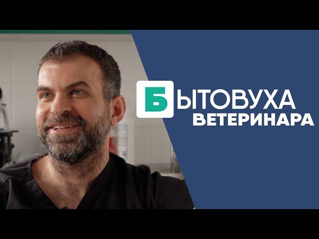 Бытовуха ветеринара: бесящие хозяева и кастрация