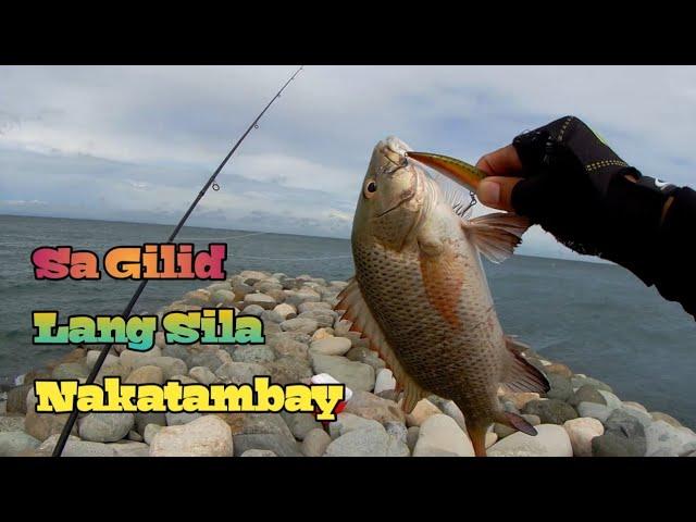 Mangrove Snapper Fishing | Bahay ng mga Managat