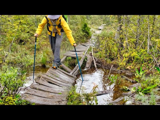 Ambient Silent Hiking on the West Coast Trail, Canada