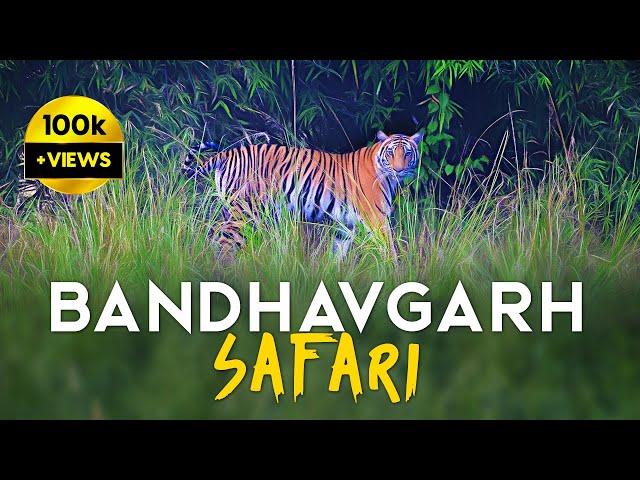 EP 01 - Magadhi Zone Safari - Bandhavgarh Tiger Reserve - 4K Video Hindi | हिन्दी