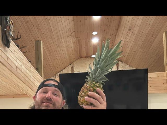 Steven Hodges and fruit show