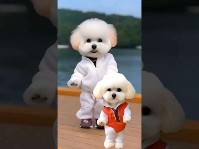 cat lover Minhaz  | cute dance #funny #nandinidancer #dance #0153
