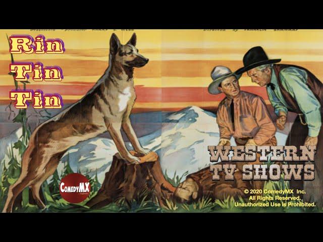 The Test (1935) | Full Movie | Rin Tin Tin Jr | Grant Withers | Grace Ford