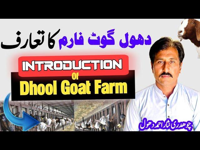 Introduction of Dhool Goat Farm||دھول گوٹ فارم کا تعارف