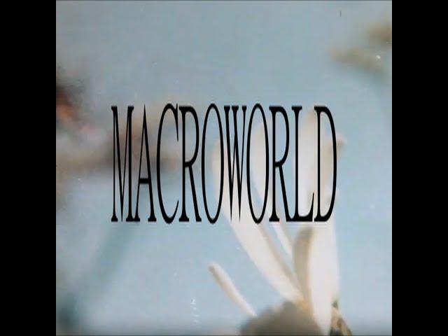 free yeat x bnyx loop kit - "MACROWORLD"