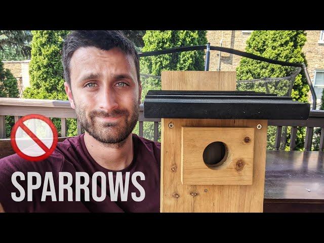 How to Keep House Sparrows Out of Bluebird Houses 