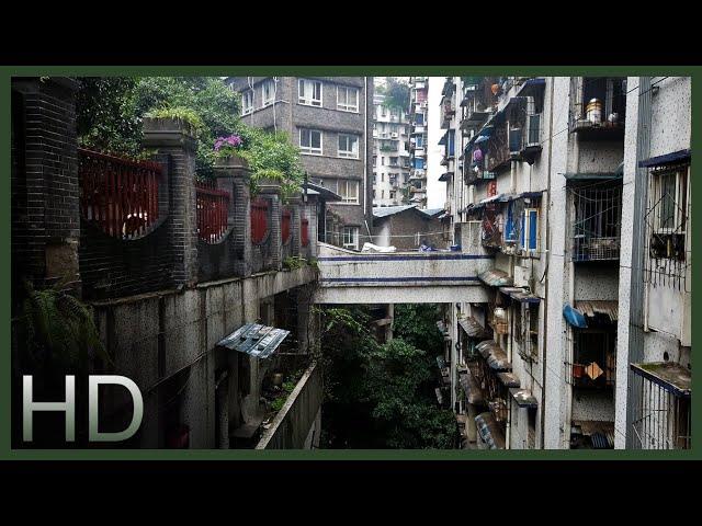 【HD】Rainy Walk in Chongqing, China | Cyberpunk Walk through Chinese Urban Jungle