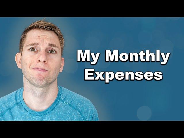 My virtual law firm's monthly expenses.