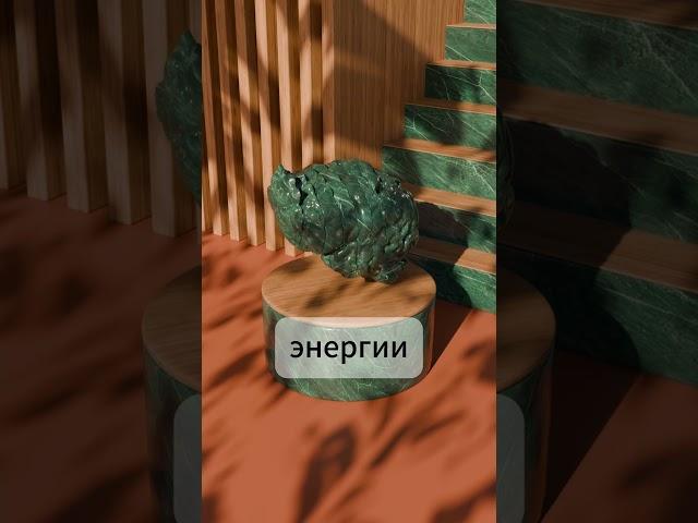 Почему мозг маленький, а ест как целый организм? #факты #интересно