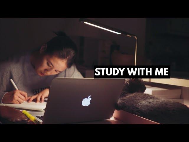 STUDY WITH ME with music | late night study session!