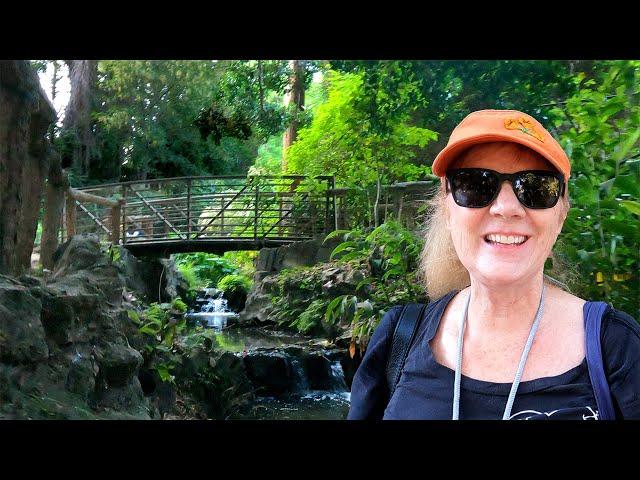 Secrets of Ferndell Trail:  A Hidden Gem in Griffith Park