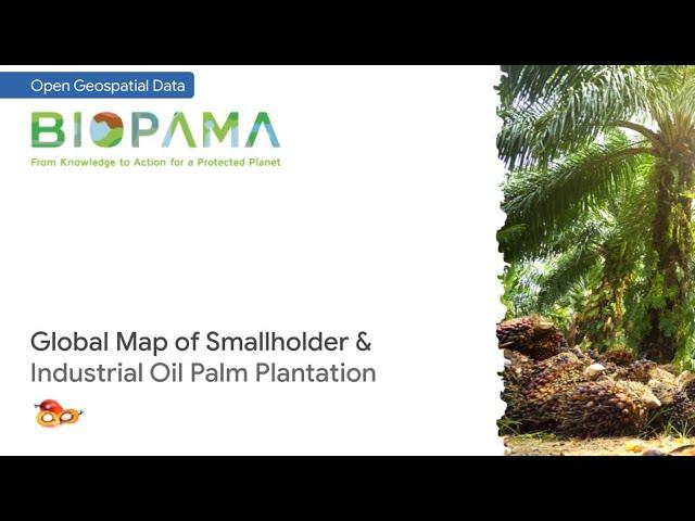 Open data: Global oil palm plantation map 