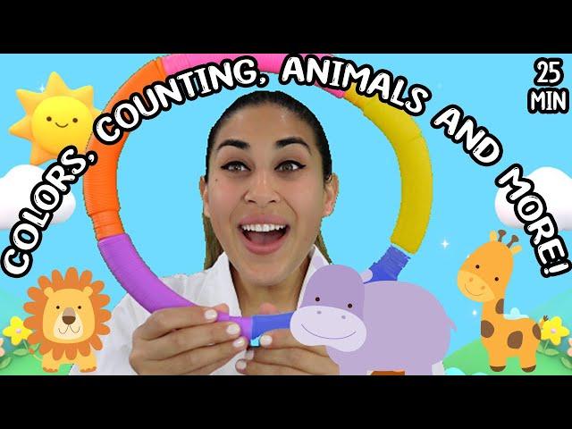 Learn Colors, Counting and Animals ! All in Spanish with Miss Nenna the Engineer | Spanish For Minis