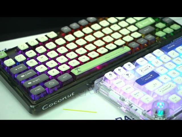 AULA-LEOBOG K81 gasket mechanical keyboard. Clean color combo! #keyboard #asmr