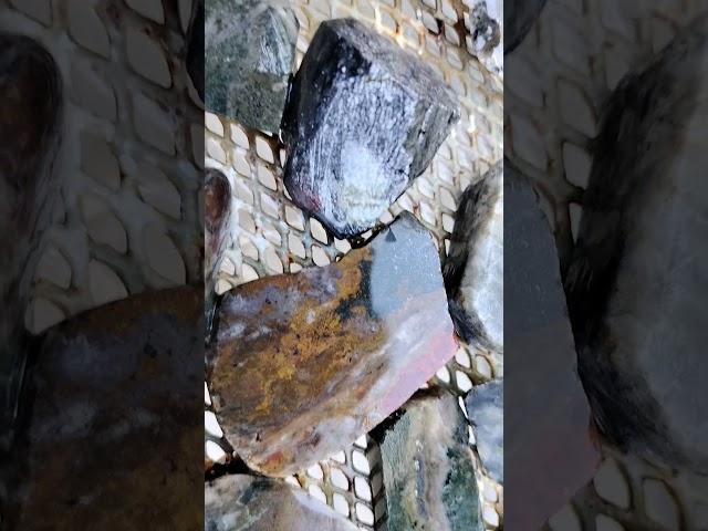 Beautiful Slices of New Zealand stone #newzealandrockhound #cuttingbeautifulstones#crystals