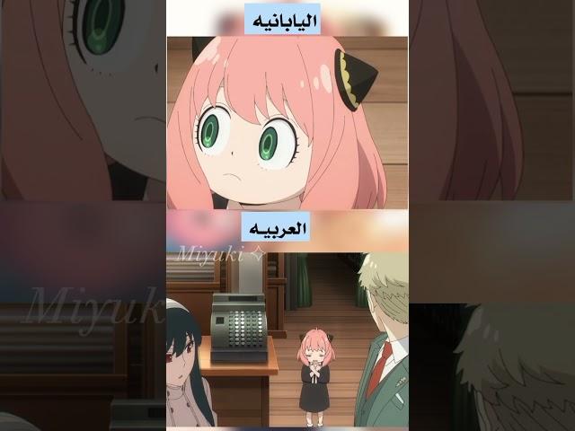 الفرق بين الدبلجه العربيه واليابانيه في انمي Spy X Family 