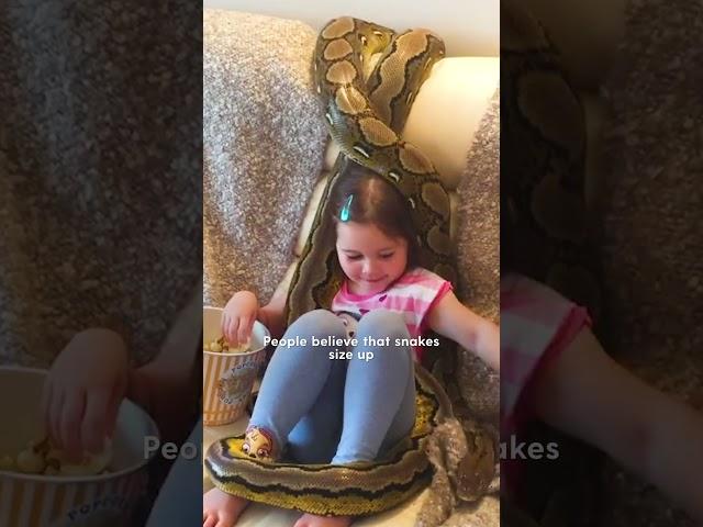 Little Girl Grows Up With Two Python BFFs | The Dodo