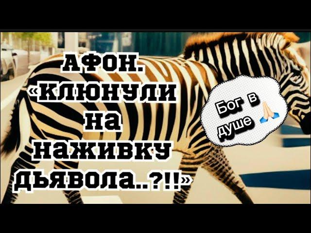 Паломничество на Афон.Истории монаха!