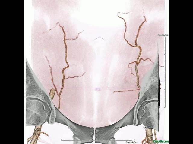 DIEP flap planning