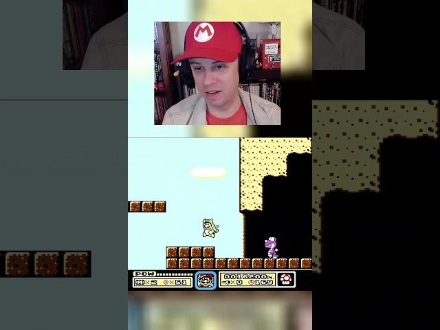 Mario Cat Power Up on NES! (Super Mario 6 Hack)