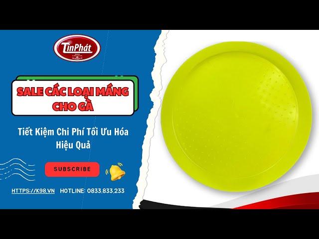 Tín Phát – Công Nghệ Cho Trang Trại Thông Minh đang phát trực tiếp!