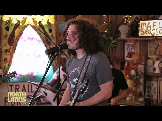 Pigeons Playing Ping Pong - "Calm Before The Storm" | Maple Barn Sessions | Northlands | Relix