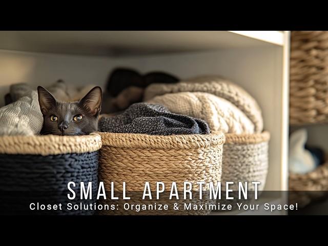 Small Apartment Closet Solutions: Organize & Maximize Your Space!