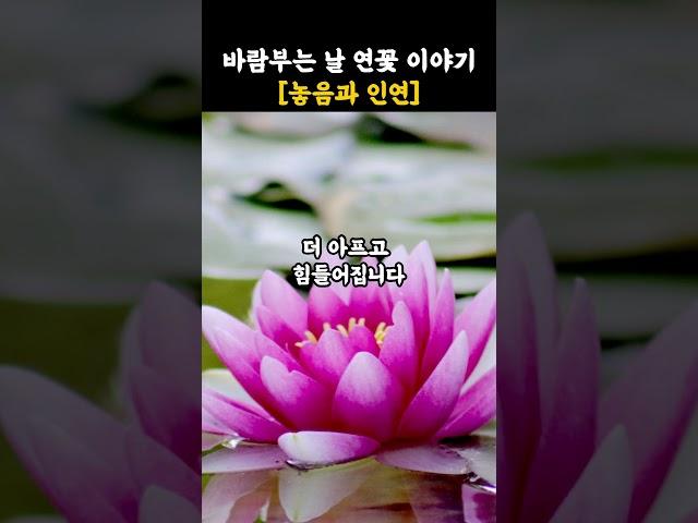 부처님 말씀 놓지 못하는 마음, 부처님의 한 말씀으로 풀다||깨달음|인관관계|마음치유|영적성장|불교명언|불교오디오북