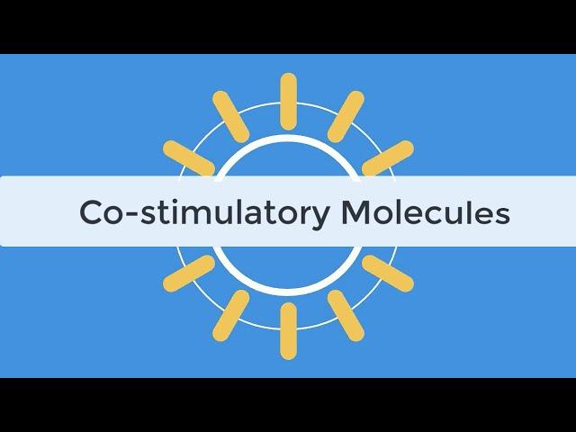 Check Point Inhibitors & Co-stimulatory Molecules Immunology Tutorial, Abatacept, Belatacept