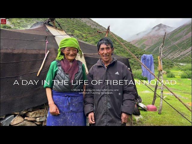 Daily Life of a Tibetan Nomad Family Living in Altitude of 4800 Meters, How is Their Daily Life?