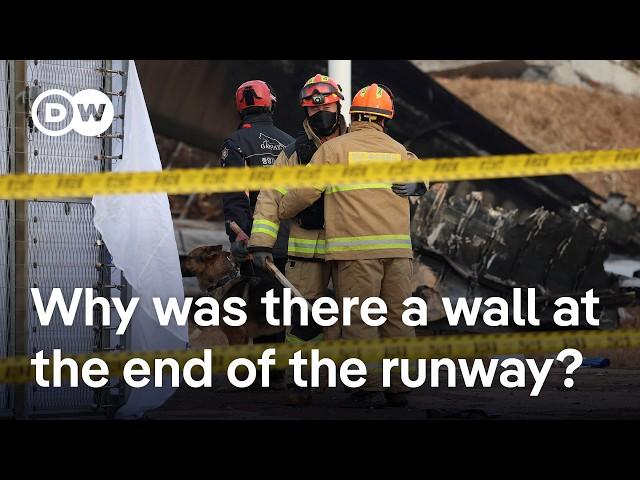 South Korea plane crash: What do the experts say? | DW News