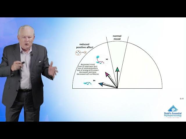 Symptoms to Circuits in Mood Disorders