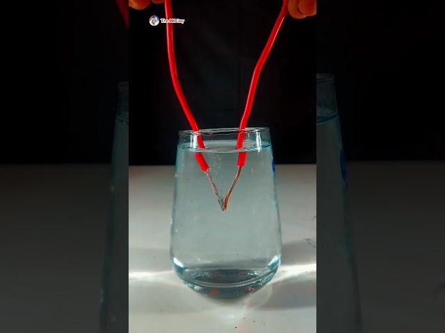 Crazy Experiment. Please Don't Try This At Home