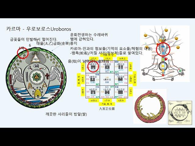 당신이 미륵불입니다 020  - 무상無常/무아無我법의 약으로 음기를 소멸시켜 청정한 뒤에 상락아정常樂我淨법의 약을 먹어야 마귀魔鬼가 되지 않는다.