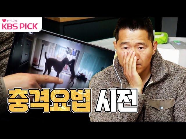 [#개는훌륭하다] 심각함을 전혀 모르는 보호자에게 노트북을 꺼내 충격요법 시전하는 강훈련사 ㅣKBS 230102 방송