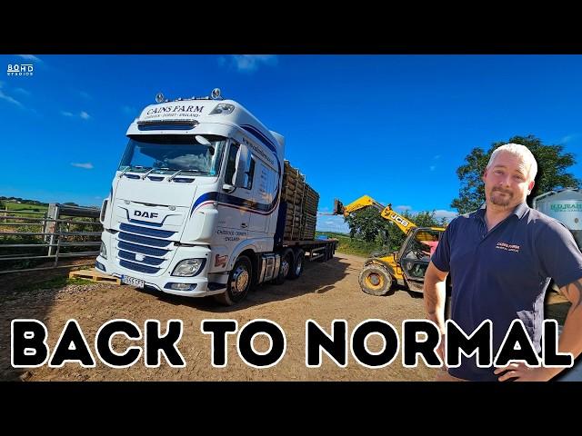 Back Down the Lanes. UK HGV Truck Driver.