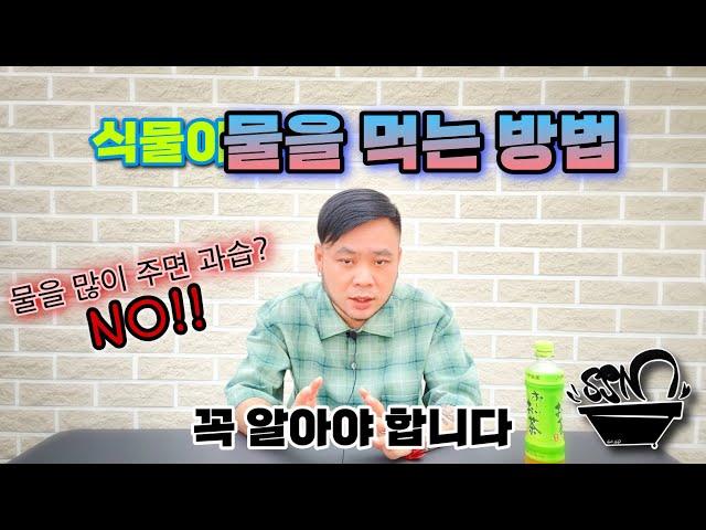 의외로 다들 모르는 식물이 물을 먹는 방법 / 딱 6분만에 완전 쉽게 이해시켜드림