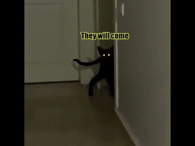 Demon Cat pt. 3