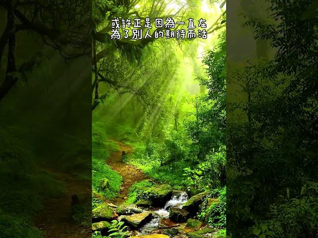 世界盡頭的咖啡館 #心靈成長好書分享 ｜三個問題改變人生觀｜心靈成長必讀 #世界盡頭的咖啡館 #說書短影片 #心靈成長 #知識型內容 #文學短片