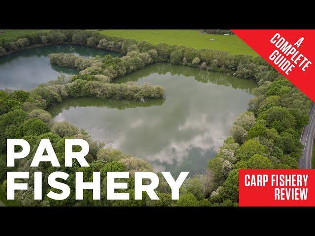 Carp Fishery Review: Par Fishery | Essex | Catch