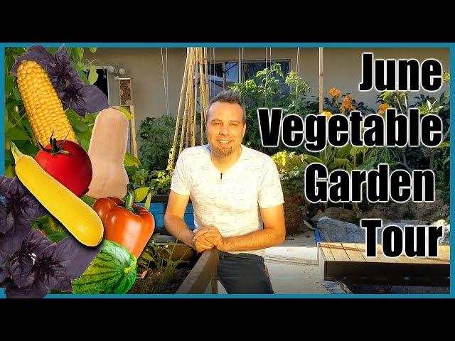 June - Full Vegetable Garden Tour