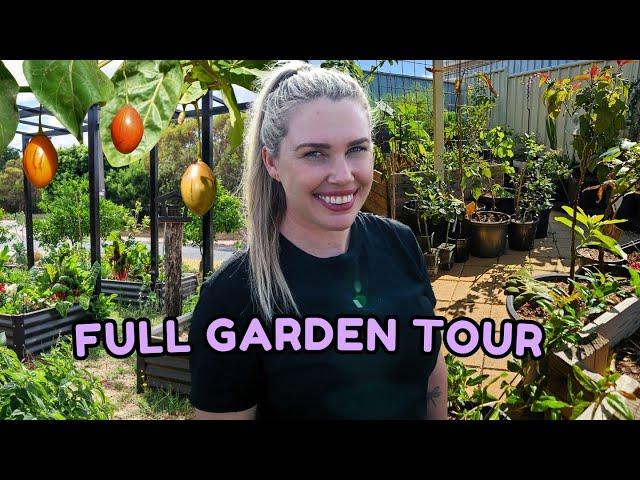 Full edible GARDEN TOUR & rare fruit tree collection ~ October 2024