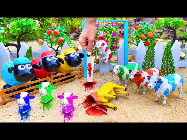 wadidau ‼️ proses potong sapi kurban | new cow video | new cow vlog | kerbau 87 | falak toys