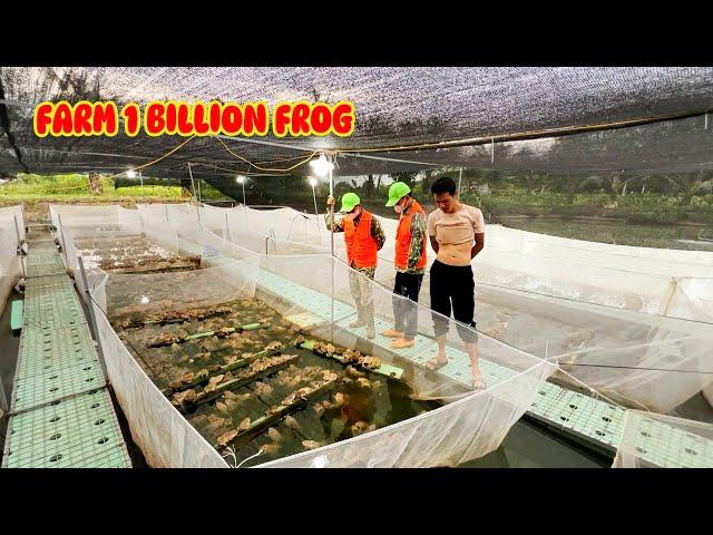 FARMER Determined to Change HABITAT to Raise 1 Billion FROG Seeds in a MIRACULOUS Way.