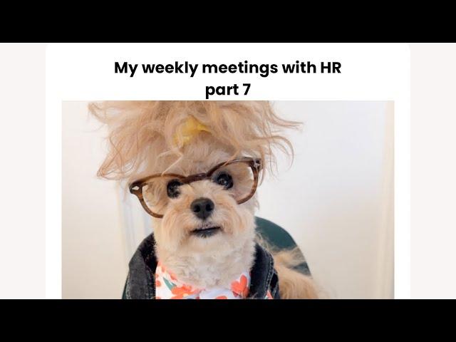 My weekly meetings with HR part 7